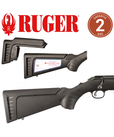 Carabine Ruger American Rimfire 22 Mag Canon De 46cm Fileté