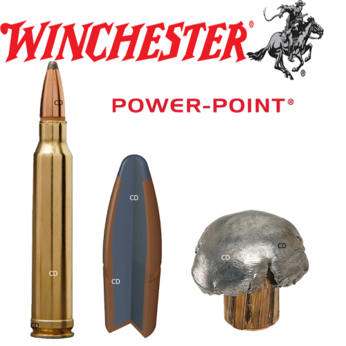 Balles Winchester Super X Power Point 9.3x62 286 Grains Par 20